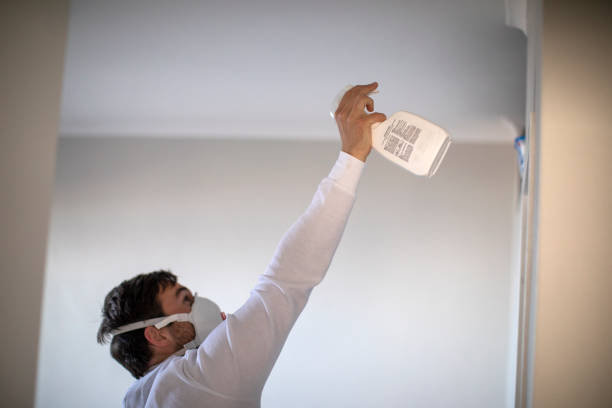 Mold Removal Process in Indian River, MI