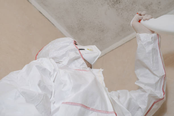 Best Crawl Space Mold Removal  in Indian River, MI