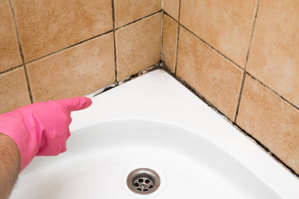 Best Mold Testing  in Indian River, MI